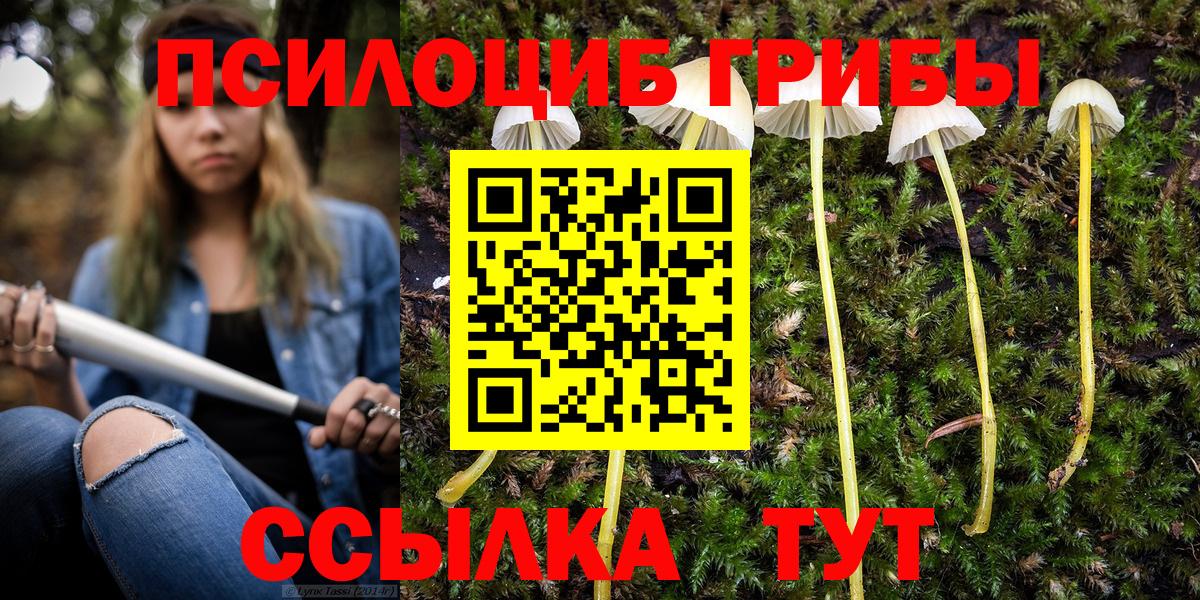 Галлюциногенные грибы Magic Shrooms Сердобск