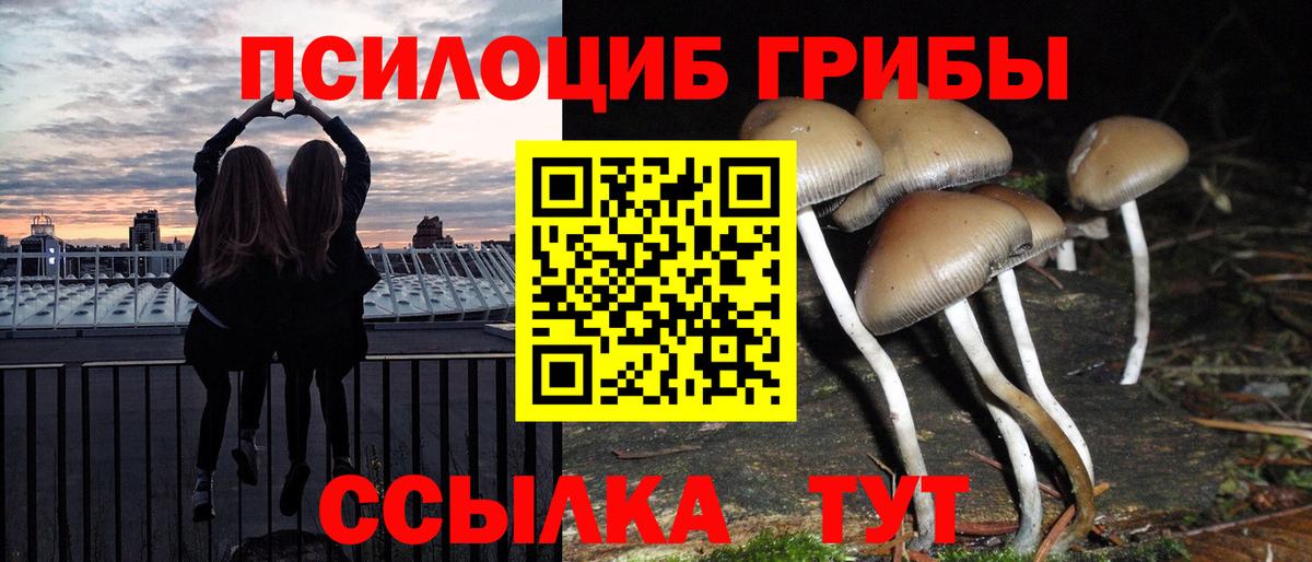 Псилоцибиновые грибы Psilocybe  Галлюциногенные грибы MAGIC MUSHROOMS  Сердобск  Вход с VPN 